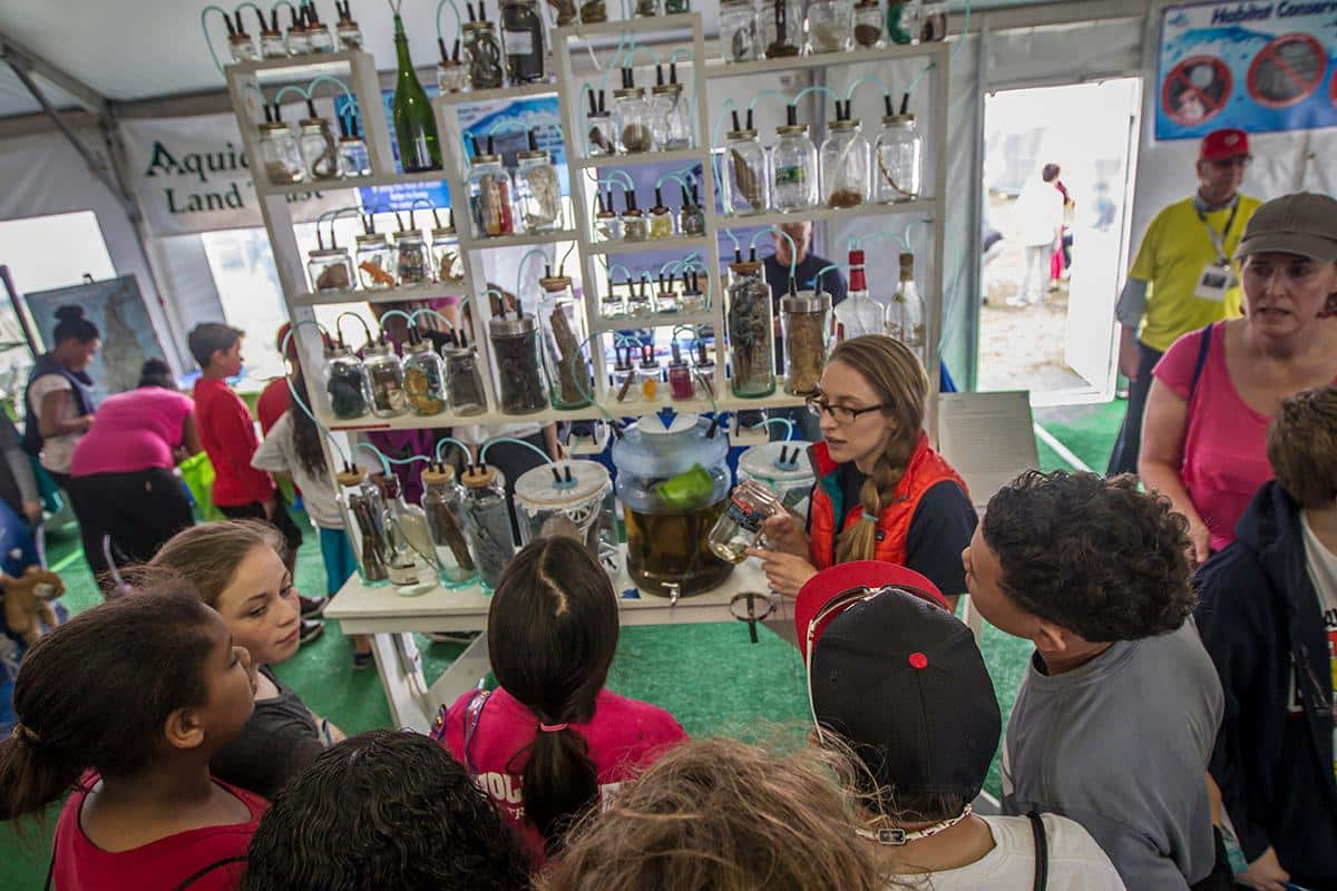 Visitors to the Ocean Race Newport will discover an ocean-oriented Exploration Zone at the Fort Adams State Park race village, May 13-21. Image: Ainhoa Sanchez/Volvo Ocean Race